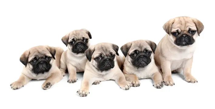 360_F_192932429_1IQkr4bSrvSRYygFpSQfmKnxrZsFJeZB {{brizy_dc_image_alt imageSrc=