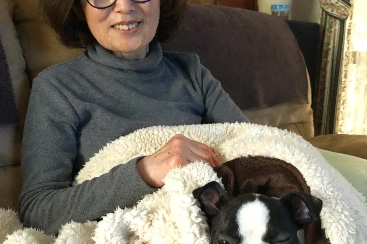 boston terr1-banksy (14) {{brizy_dc_image_alt imageSrc=