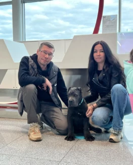 {{brizy_dc_image_alt imageSrc=